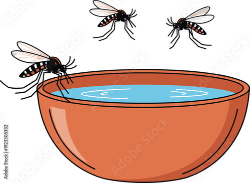 Mosquitoes Breeding in Standing Water Bowl Vector Illustration