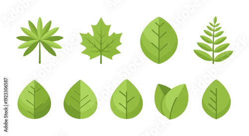 Various green leaves and foliage illustrations arranged in a grid pattern on a clean background from a direct viewpoint