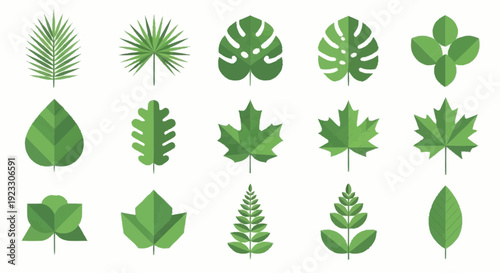 Variety of green leaves arranged in a grid pattern showcasing different shapes and structures in a botanical illustration