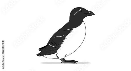 A sleek monochromatic illustration of a stoic marine bird, possibly an auk or guillemot, featuring its iconic black and white plumage. This clean