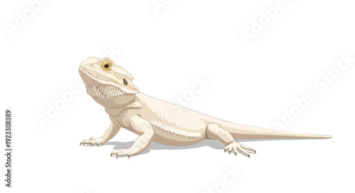 Exotic pale bearded dragon illustration on a crisp white background showing intricate scales