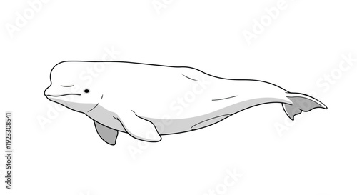 An elegant minimalist illustration capturing the serene essence of a beluga whale gracefully navigating its aquatic realm with gentle tranquility