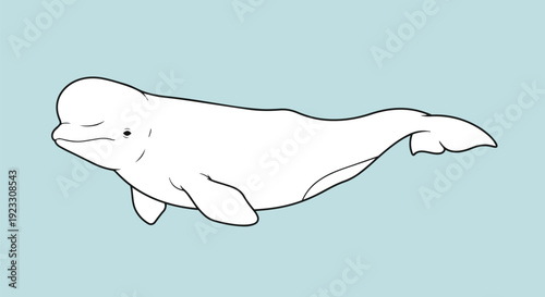 An endearing beluga whale swimming gracefully in a calm ocean environment depicted through a simplistic and captivating artistic line illustration