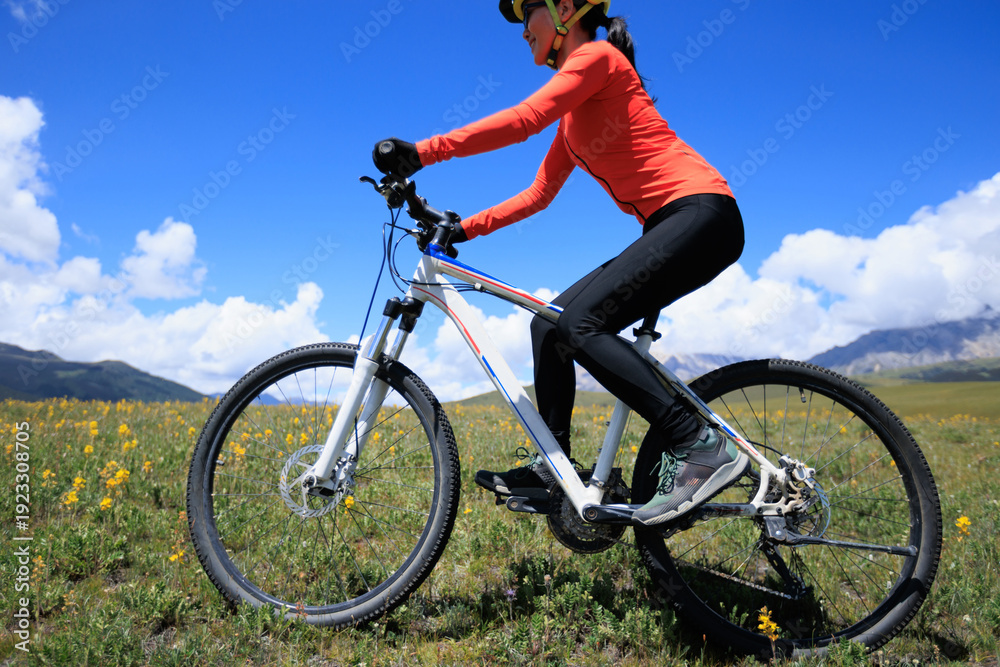 Fototapeta premium Mountain bike on flowering grassland mountains