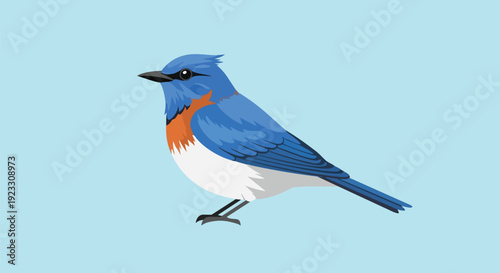 Vibrant bluebird illustration perched peacefully against a clear sky depicting serene avian beauty. A colorful, cheerful wild creature in simple