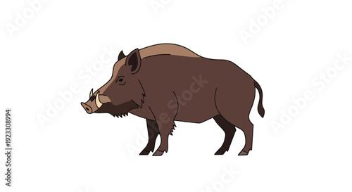 A robust cartoon wild boar stands prominently against a pristine white background, showcasing its powerful tusks and rugged silhouette for diverse