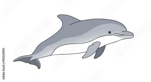 A delightful simple illustration of a friendly grey dolphin swimming gracefully with gentle fins, depicted with clean lines and subtle shading