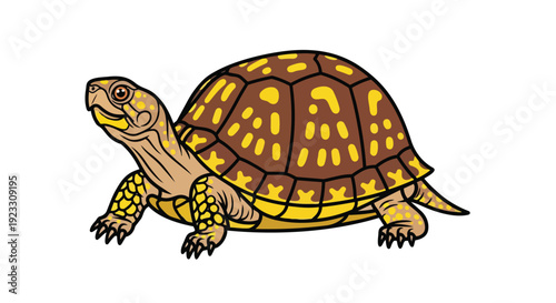 Detailed digital art of a vibrant terrestrial turtle showcasing intricate shell design