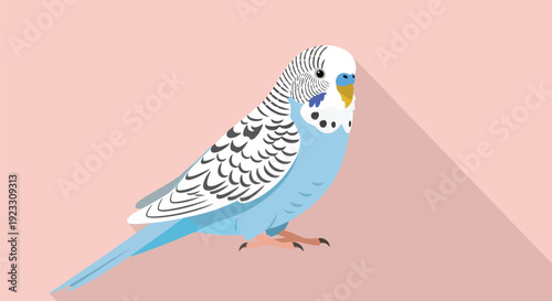 A delightful blue and white budgerigar illustration, showcasing its unique patterns and calm demeanor against a serene pink backdrop in a smooth,