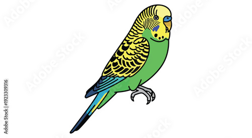 Vibrant green and yellow budgerigar illustration on a clean white background featuring a charming pet bird in vector art style