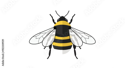 Detailed graphic representation of a buzzing insect with vibrant yellow and black stripes a modern vector design