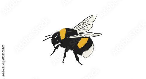 A vibrant detailed artistic representation of a fuzzy black and yellow pollinating insect with delicate transparent wings in a dynamic flight pose