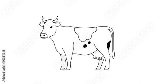 Minimalist Line Art Drawing of a Dairy Cow Standing on a White Background. This simple bovine illustration is ideal for various design