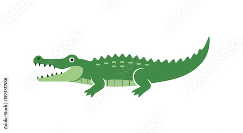 A charming simplistic green crocodile illustration with a wide open mouth showcasing sharp teeth, ideal for educational resources and playful