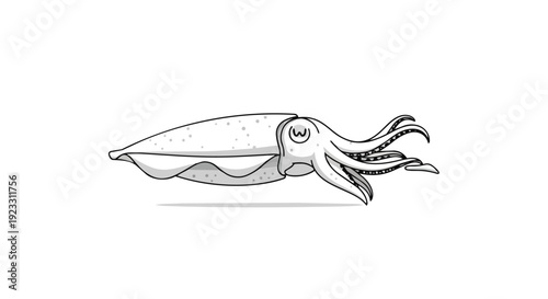 A captivating monochrome illustration of a cuttlefish with detailed body and flowing tentacles, depicted in a minimalist, clean graphic style, ideal