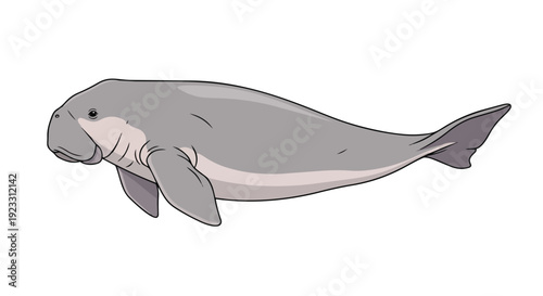 An engaging cartoon illustration portraying a docile dugong swimming calmly through clear water emphasizing its distinctive snout and flippers for
