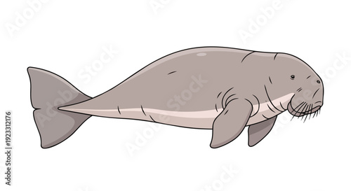Charming illustration of a gentle marine mammal gracefully swimming, showcasing its unique form and serene underwater presence. This captivating