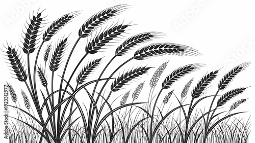 Elegant wheat stalks swaying gently in the breeze