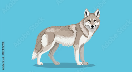A finely detailed digital illustration of a majestic gray wolf standing alert against a serene azure backdrop, capturing its powerful presence and