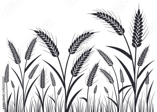 Elegant wheat silhouettes in modern minimalist design