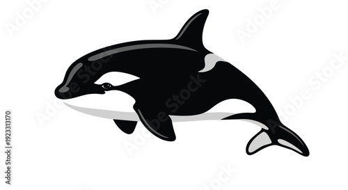 A captivating illustration of a majestic black and white orca gracefully navigating the clear digital ocean