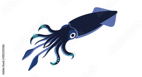 Striking minimalist illustration of a deep-sea squid showcasing fluid aquatic elegance and mysterious ocean life