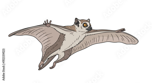 Cartoon rendition of a colugo in mid-glide showcasing its unique membrane