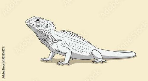 A striking minimalist vector illustration of a white lizard, highlighting its distinctive scaly skin and sharp dorsal crest, presented elegantly on