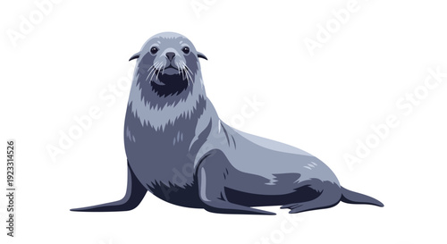Detailed vector illustration of an arctic fur seal standing on white background an aquatic mammal