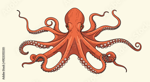 Vibrant orange octopus illustration showcasing intricate tentacles and suction cups against a minimalist background, depicting marine life in an