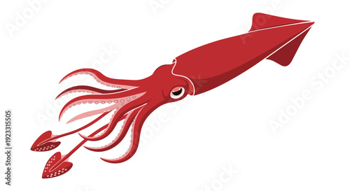 A striking dynamic red squid vector illustration on a pristine white background showcasing aquatic life and stylized cephalopod beauty modern
