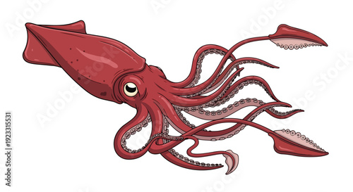 Vivid illustration of a graceful deep-sea squid displaying its vibrant red hue and intricate tentacles. This striking marine creature depiction