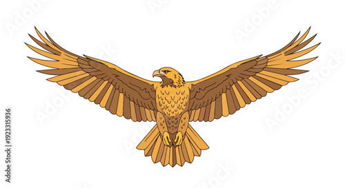 Majestic golden eagle in full flight with powerful wings spread wide against a pristine white background, showcasing elegant simplified avian grace