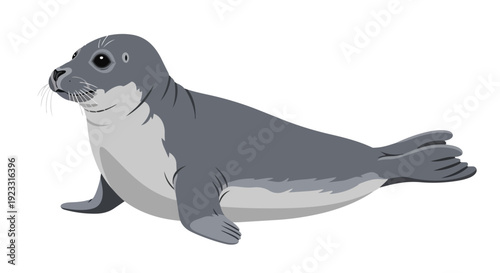 A captivating flat illustration of an arctic seal pup displaying its smooth form and inquisitive expression
