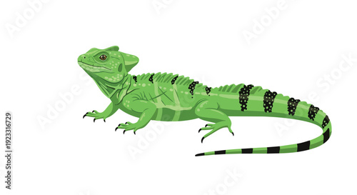 Vibrant green lizard vector art, showcasing its distinct head crest and striped tail patterns, detailed illustration perfect for ecological studies
