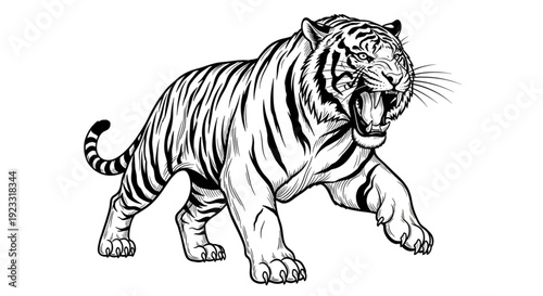 A striking illustration of a prowling tiger in mid-stride, captured in a classic engraving style that highlights its iconic stripes and intense facial expression as it hunts its prey.