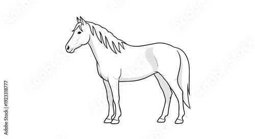 Graceful equine illustration for diverse creative projects, featuring a sleek contour drawing of a majestic horse in profile, ideal for educational