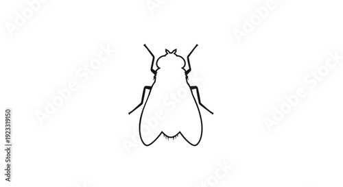 Detailed monochromatic contour depiction of a common housefly, showcasing its characteristic insect anatomy as a simple vector graphic icon or
