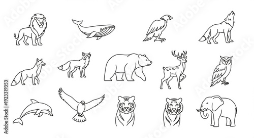 Collection of hand drawn wildlife animals including mammals birds and sea creatures in simple line art style on white background