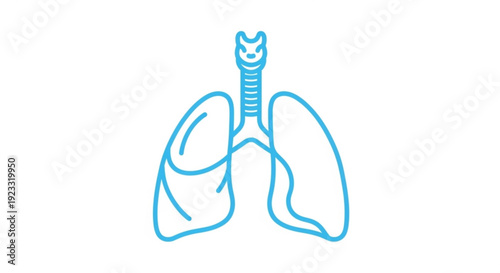 Simple blue line illustration of human lungs and trachea on white background anatomy diagram for medical education and health awareness