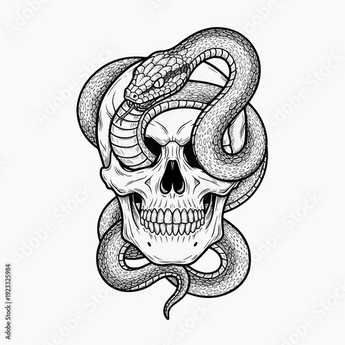 vector image of a SKUL and snake