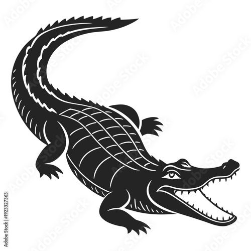 vector illustration of a crocodile