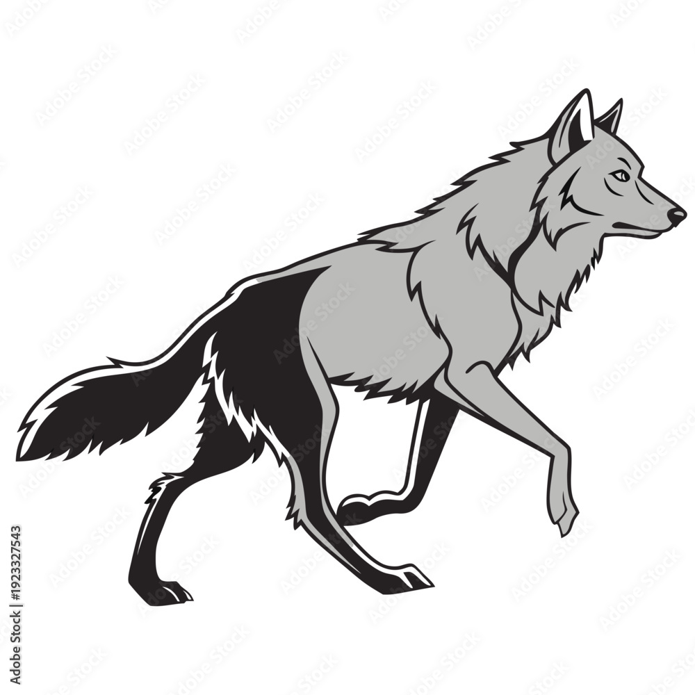 Fototapeta premium wolf vector illustration