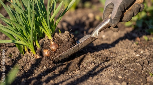 Gardening hands carefully p...