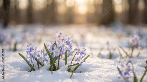 Tiny, delicate flowers brav...