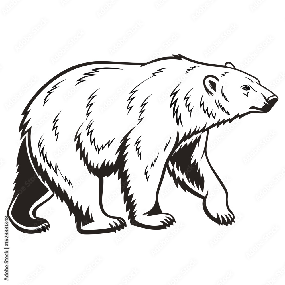 Obraz premium vector illustration of a bear