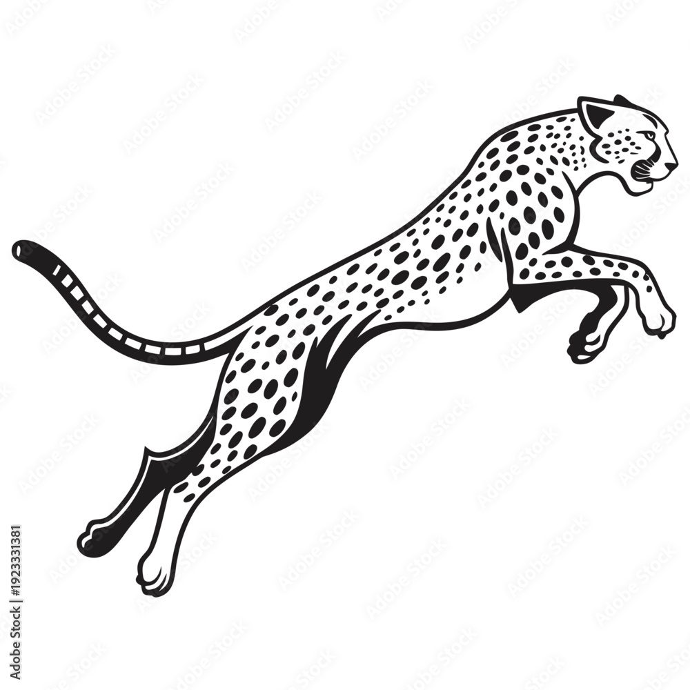 Fototapeta premium leopard on a white background