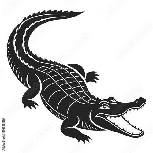 vector illustration of a crocodile