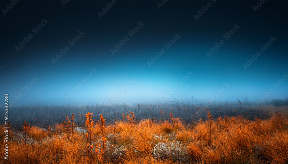 Fototapeta premium Atmospheric Field With Blue Haze And Sparse Orange Growth Under A Dark Sky