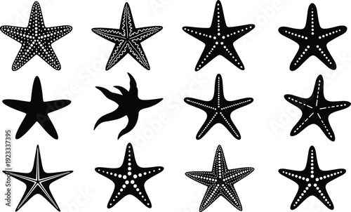 Black and white starfish silhouettes set, marine life sea star collection, aquatic ocean animal icons, nautical beach nature vector illustration.